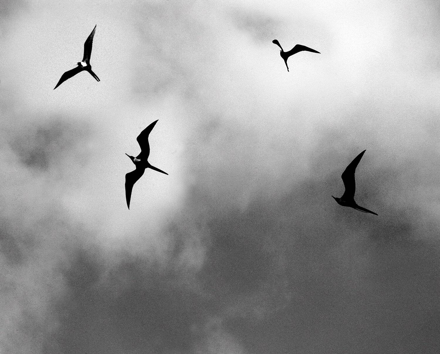 Полет в бурю, isamonov