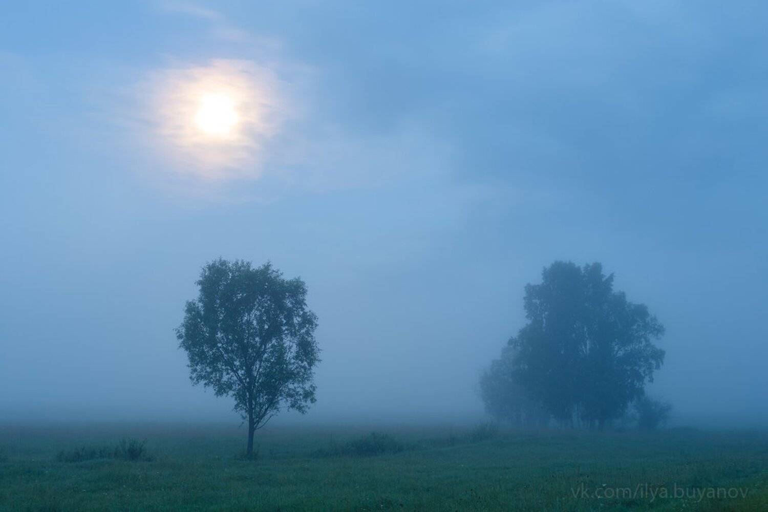 , Илья Буянов