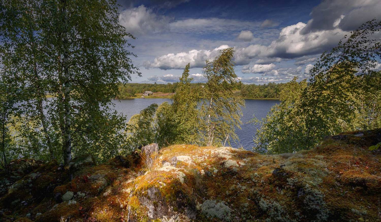 , Евгений Луцко