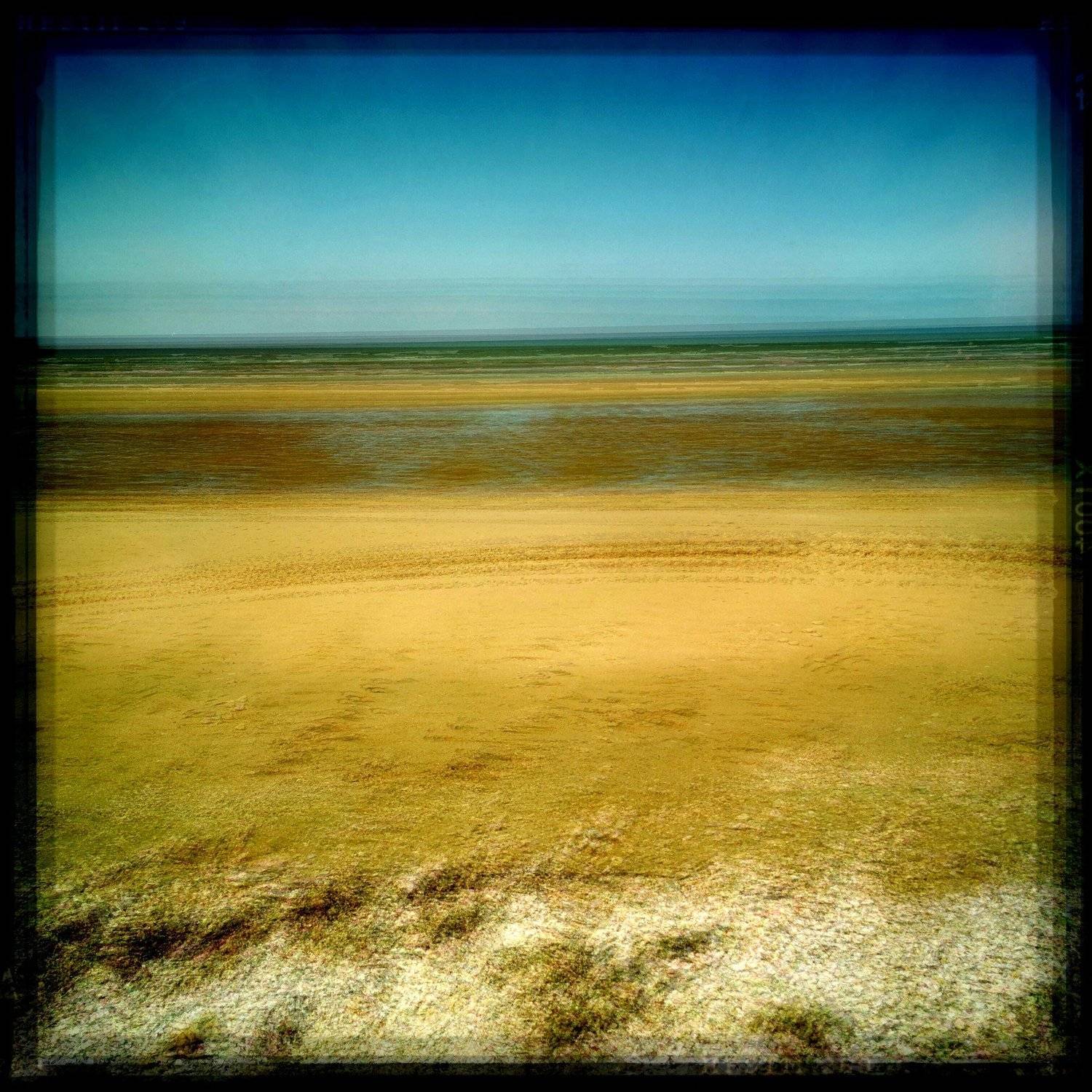 , Антон Лаба