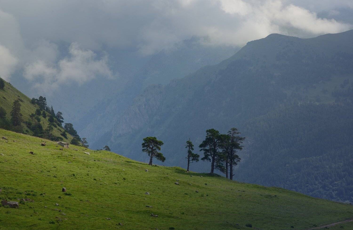 горы лето кавказ маруха, Александр Жарников
