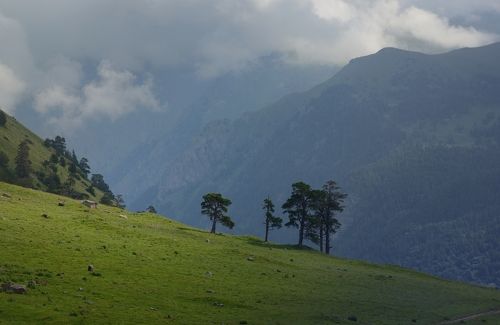 Лето в горах