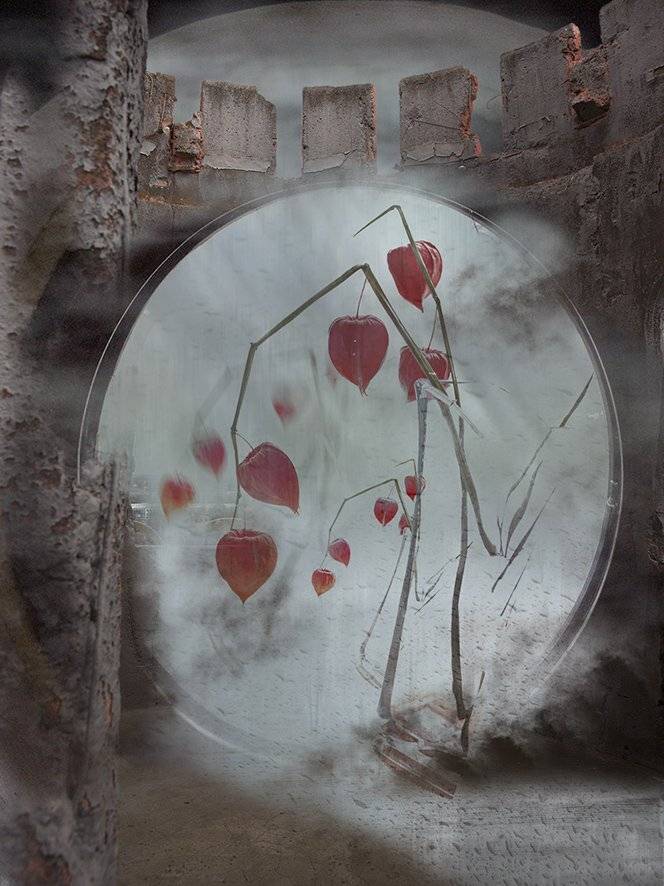 , T. Bondarenko