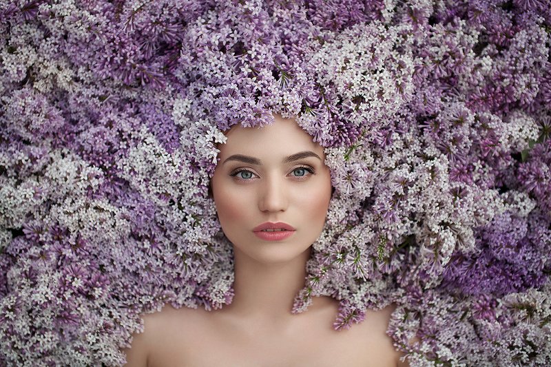 Сирень фото превью