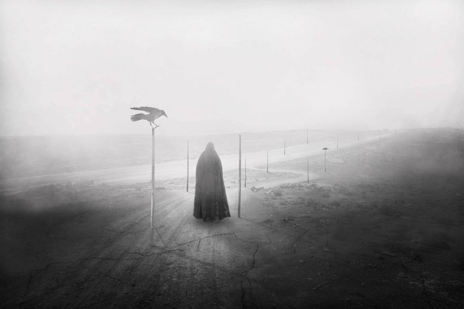 FineArt , Shervin Khan Mohammadi