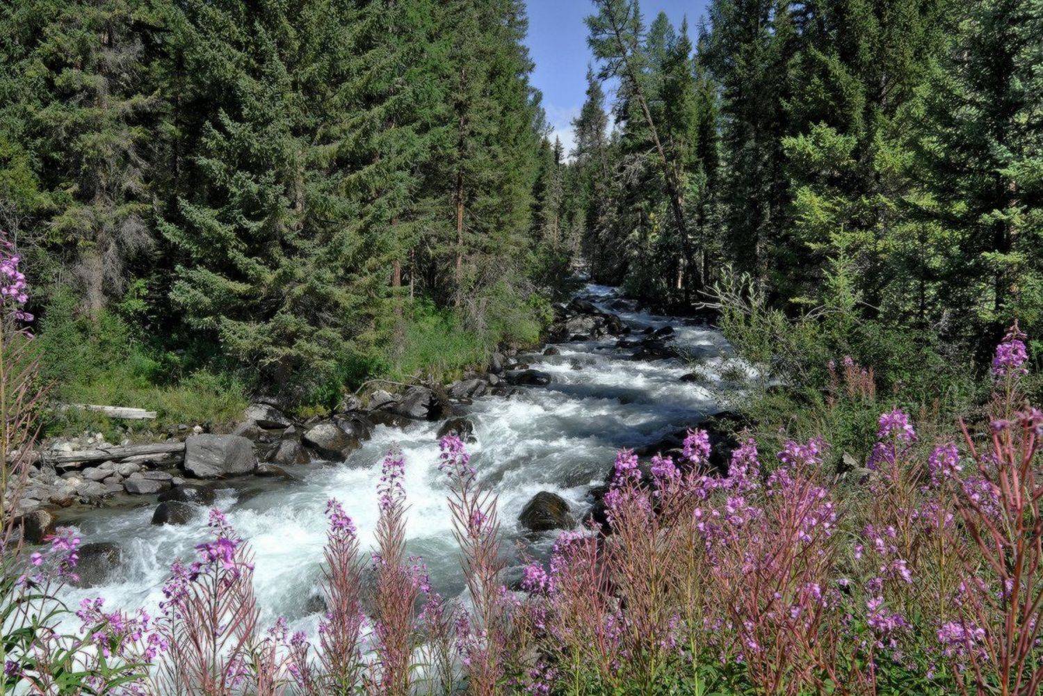 , Ольга Челдыкова