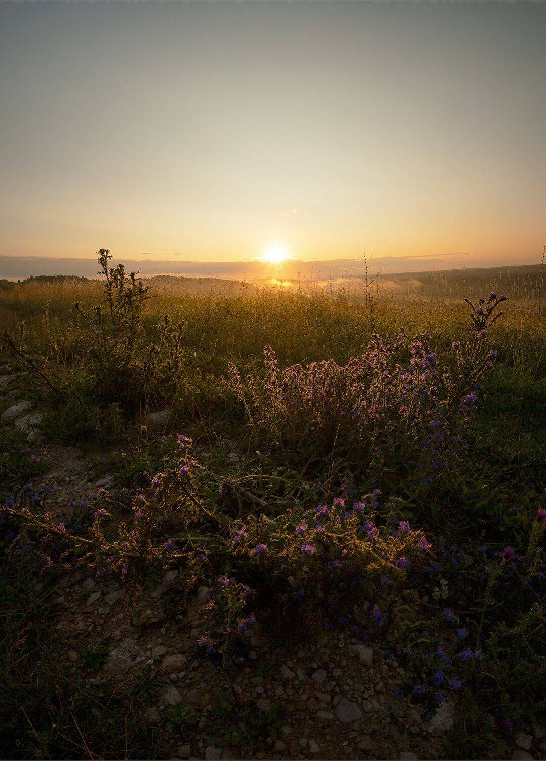 , Виталий Стрельцов