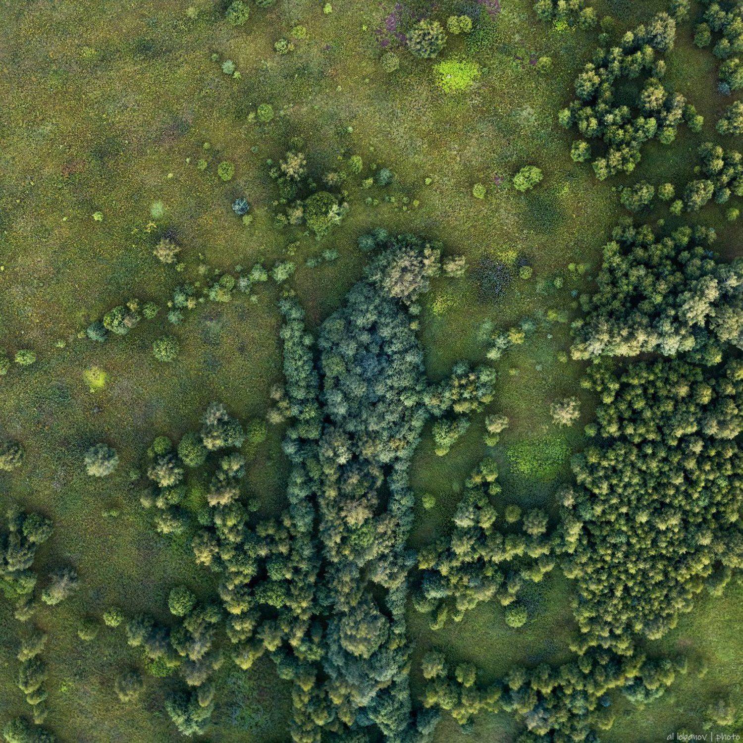 , Алексей Лобанов