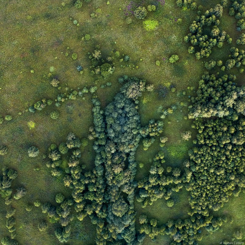 Икона фото превью