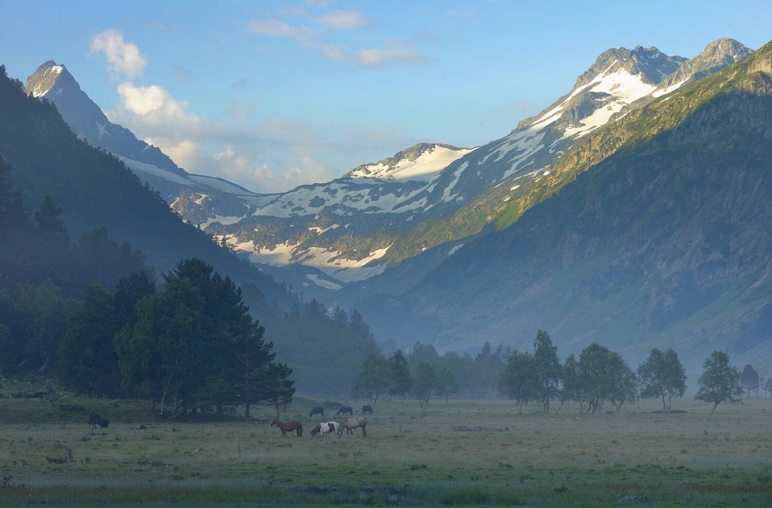 горы лето кавказ маруха, Александр Жарников