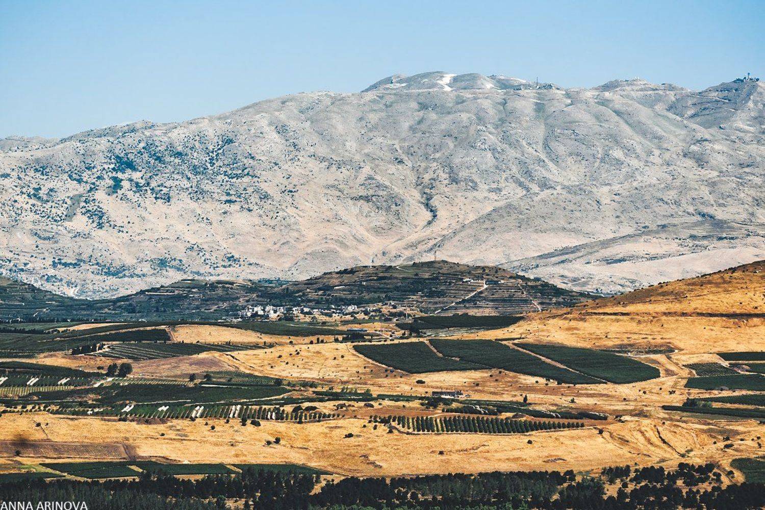 , Анна Аринова