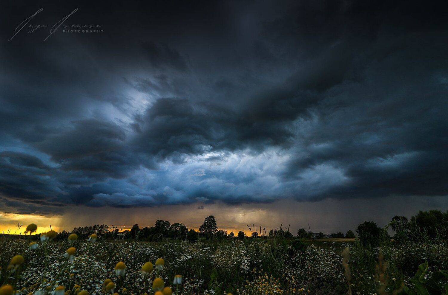 угроза с неба над ромашковым полем, Инга Иванова