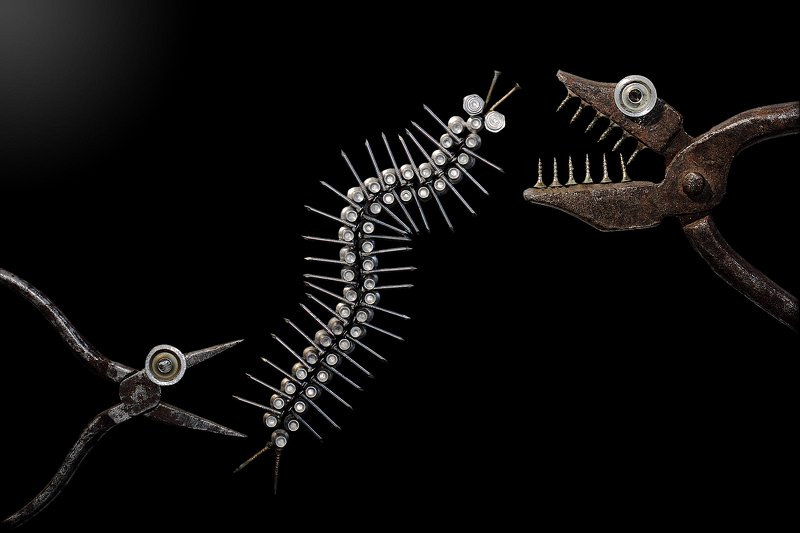 сороконожка, концепция, инструменты, centipede, prey, victim, concept, installation, creative, tools Жертва... фото превью