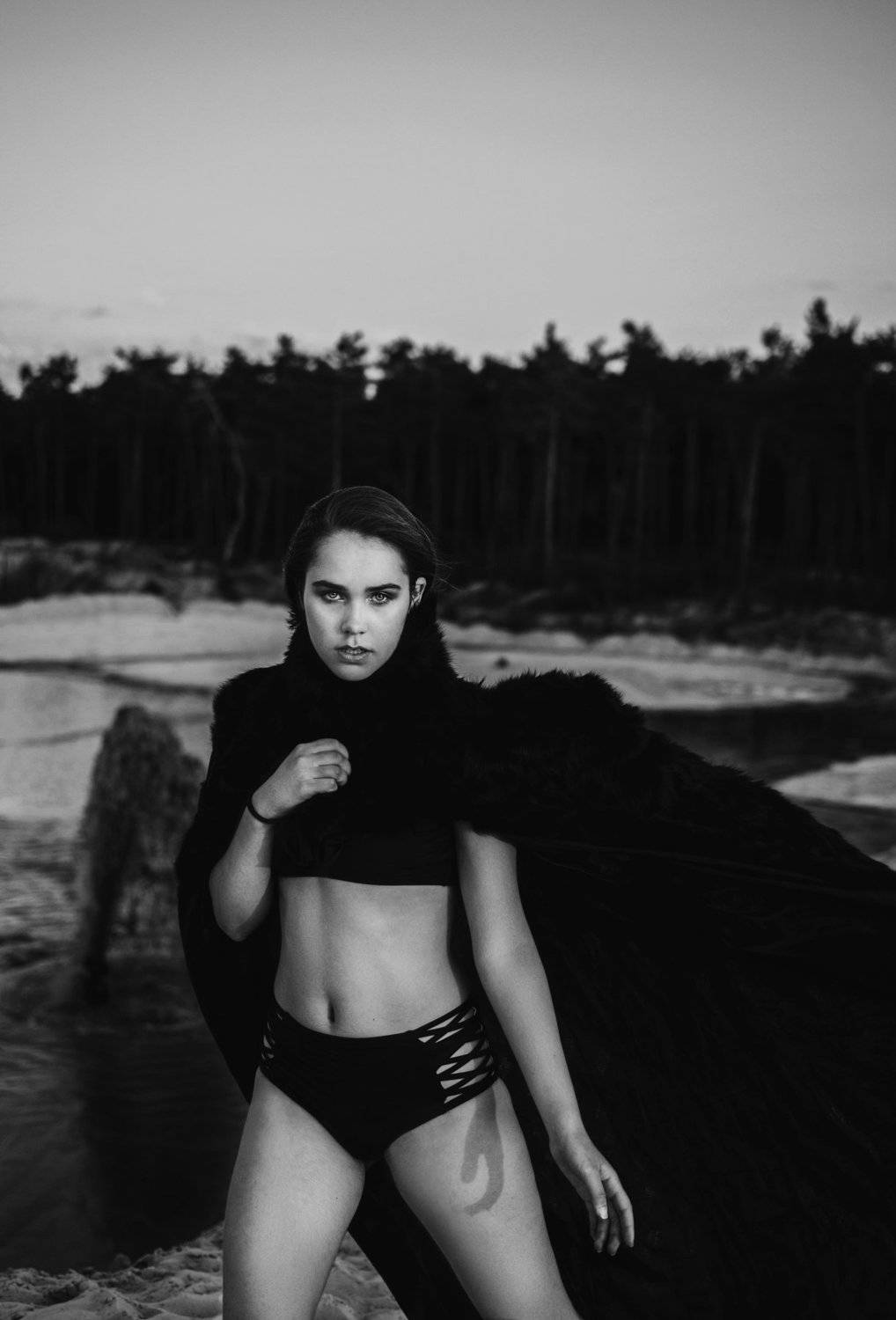 , Виталий Шевченко