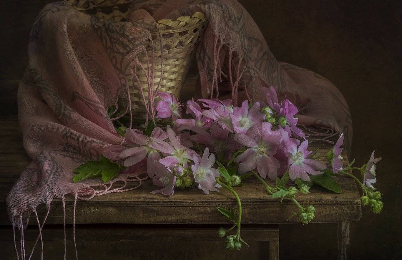 лето,цветы,алтей,мальва, Елена Рубинская