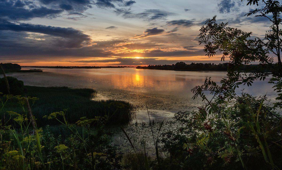 псковская, великая, лето, река, закат, краски, деревья, Майя Афзаал