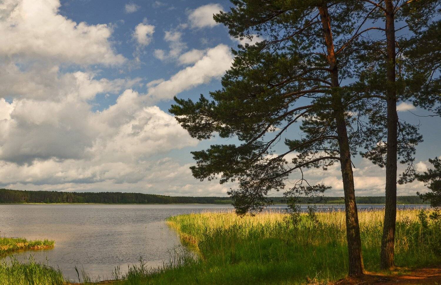 nevant60, пейзаж, красота, природа,селигер,озеро, Александр Березуцкий