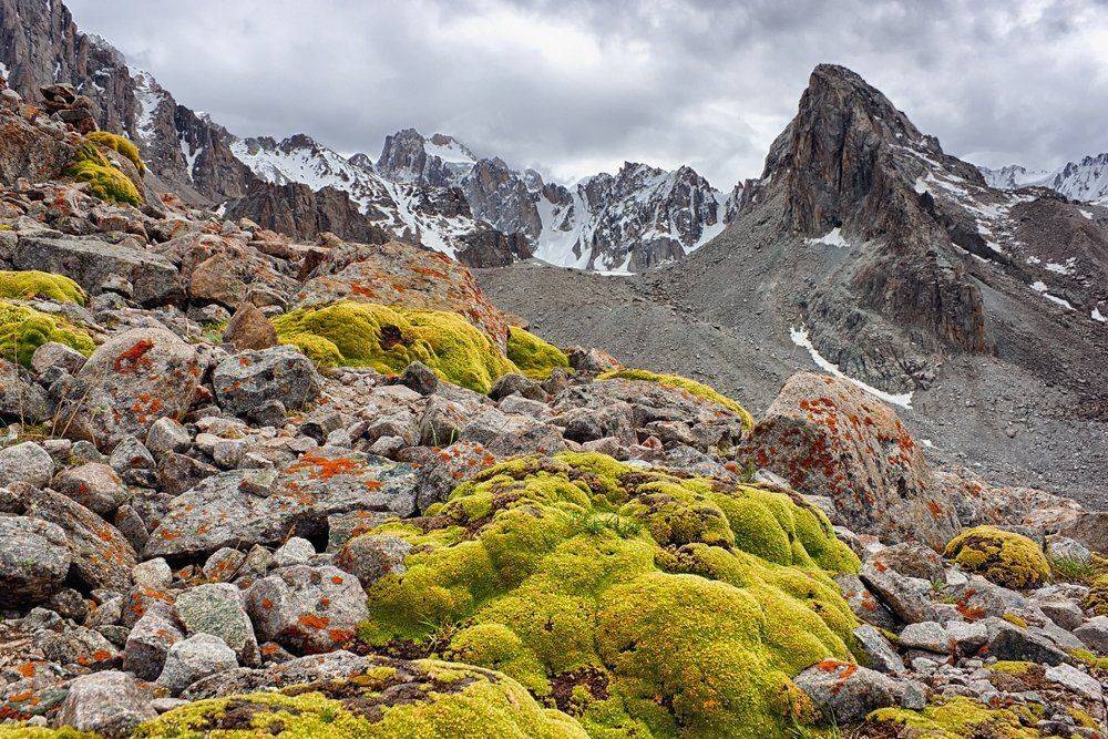 кыргызстан, горы, Элина Магалимова