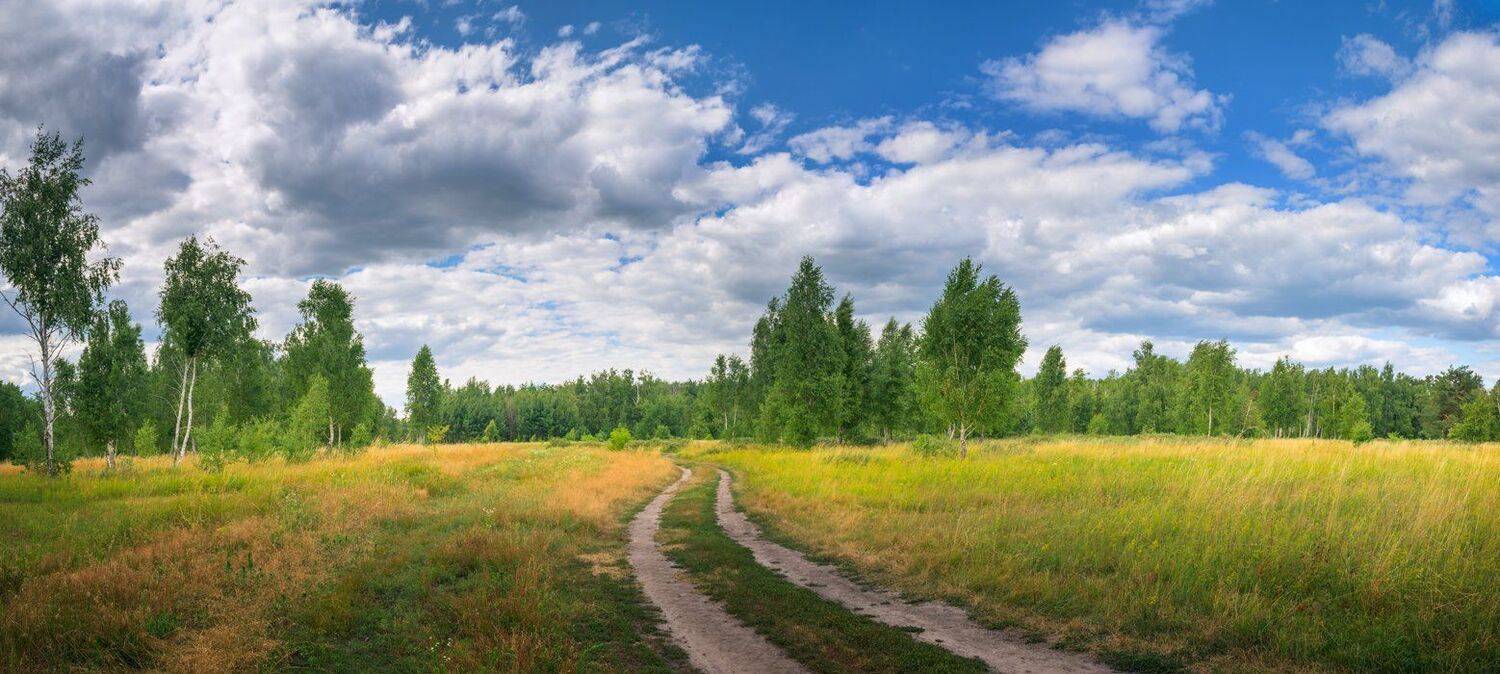 луг, лето, июль, тучи, Галанзовская Оксана