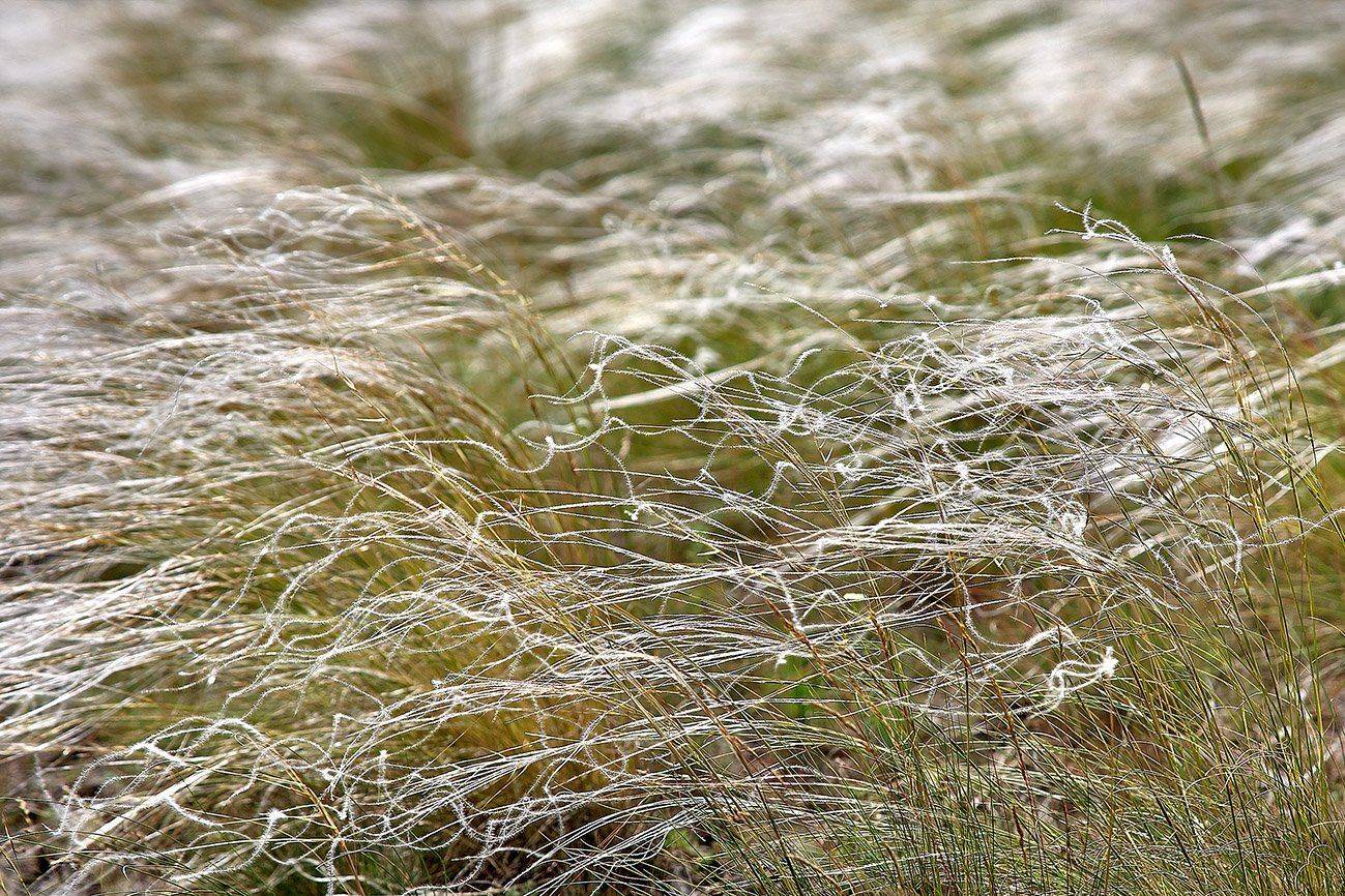 южный, урал, губерля орск, новотроицк, Качурин Алексей