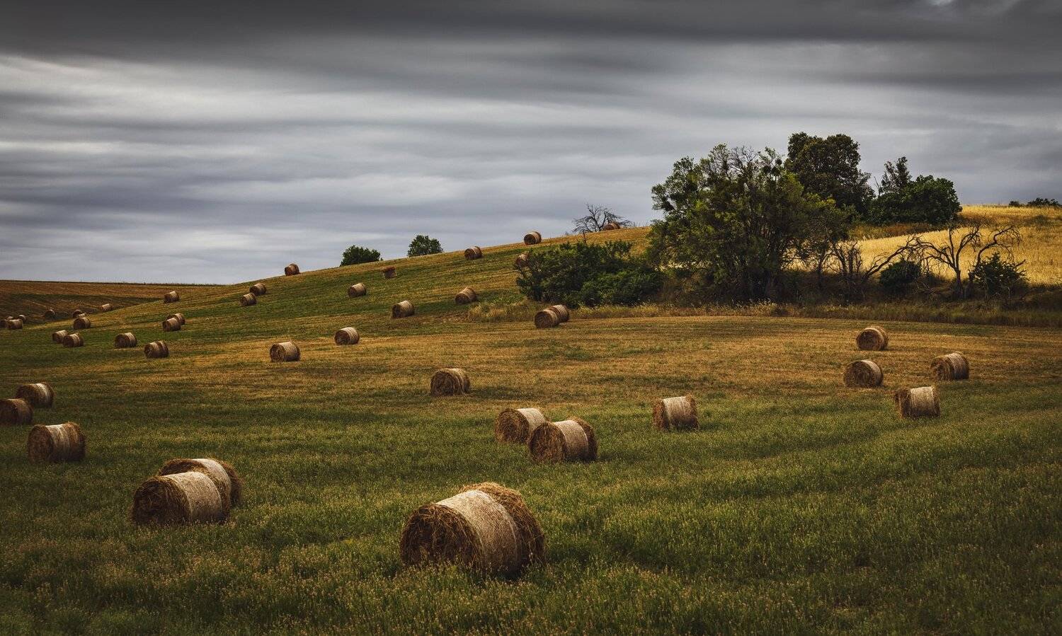 поля, стога, Александр Безмолитвенный