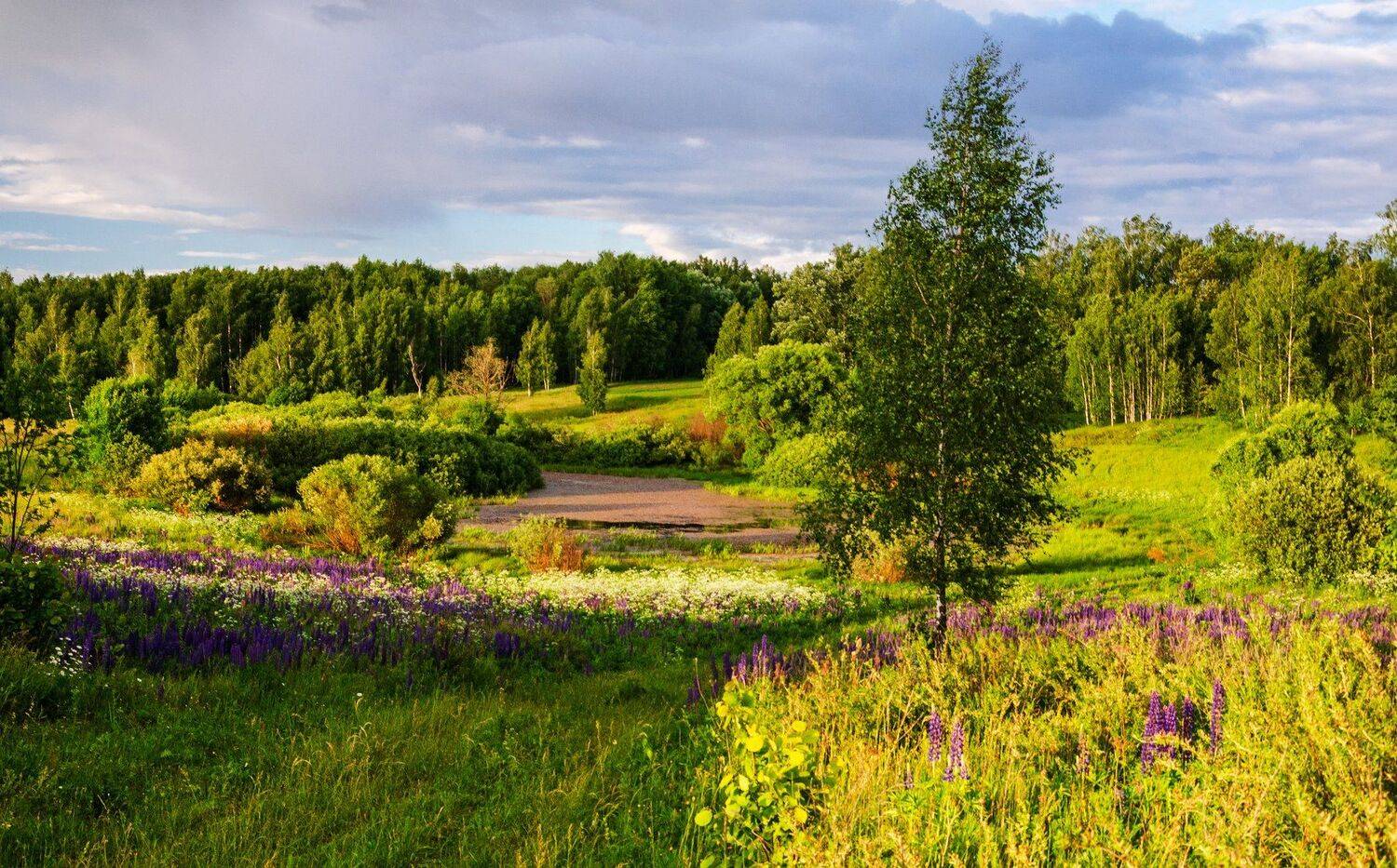 , Александр Березуцкий