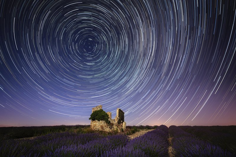 Lavender night фото превью