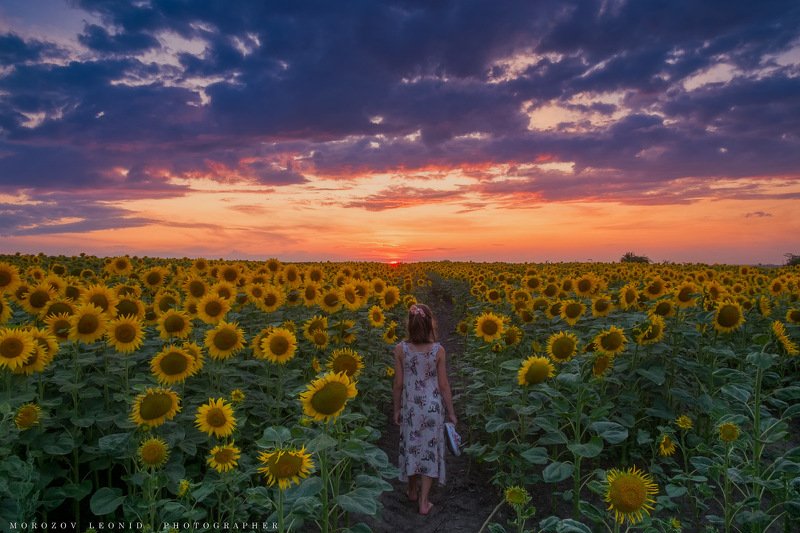 #landscape, #nature, #scenery, #forest, #wood, #autumn, #mist, #misty, #fog, #foggy, #river, #waterfall, #longexposure, #mountain, #vitosha, #bulgari, #aтуман, #лес, #oсень *** фото превью