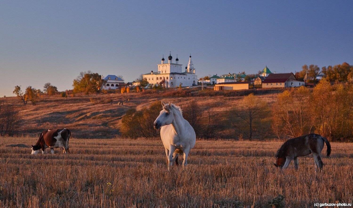 , Гарбузов Илья