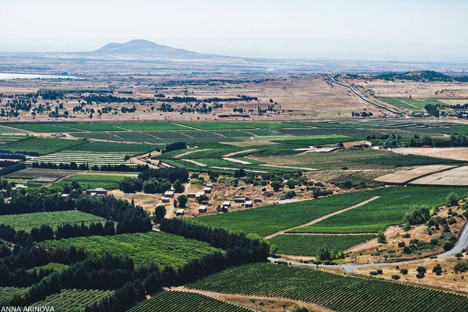 , Анна Аринова