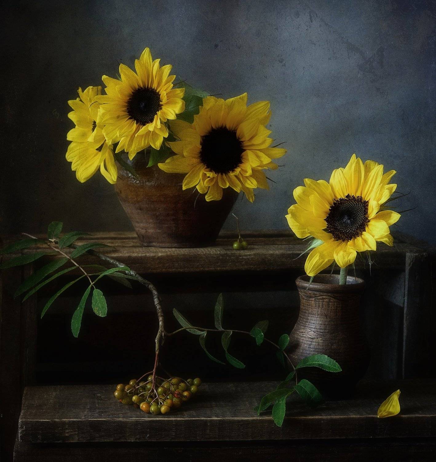 натюрморт,подсолнухи, Наталия К