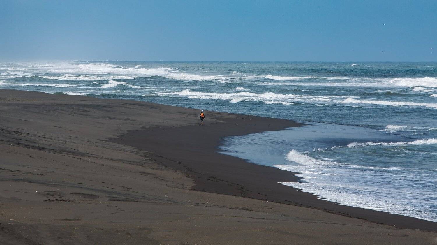 , Александр Максин