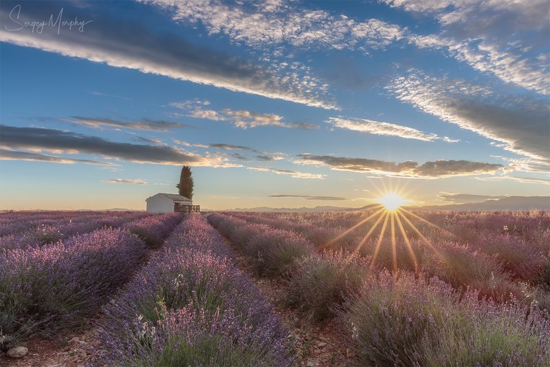 sunrise lavender fields Sunrise on Lavender fields. фото превью
