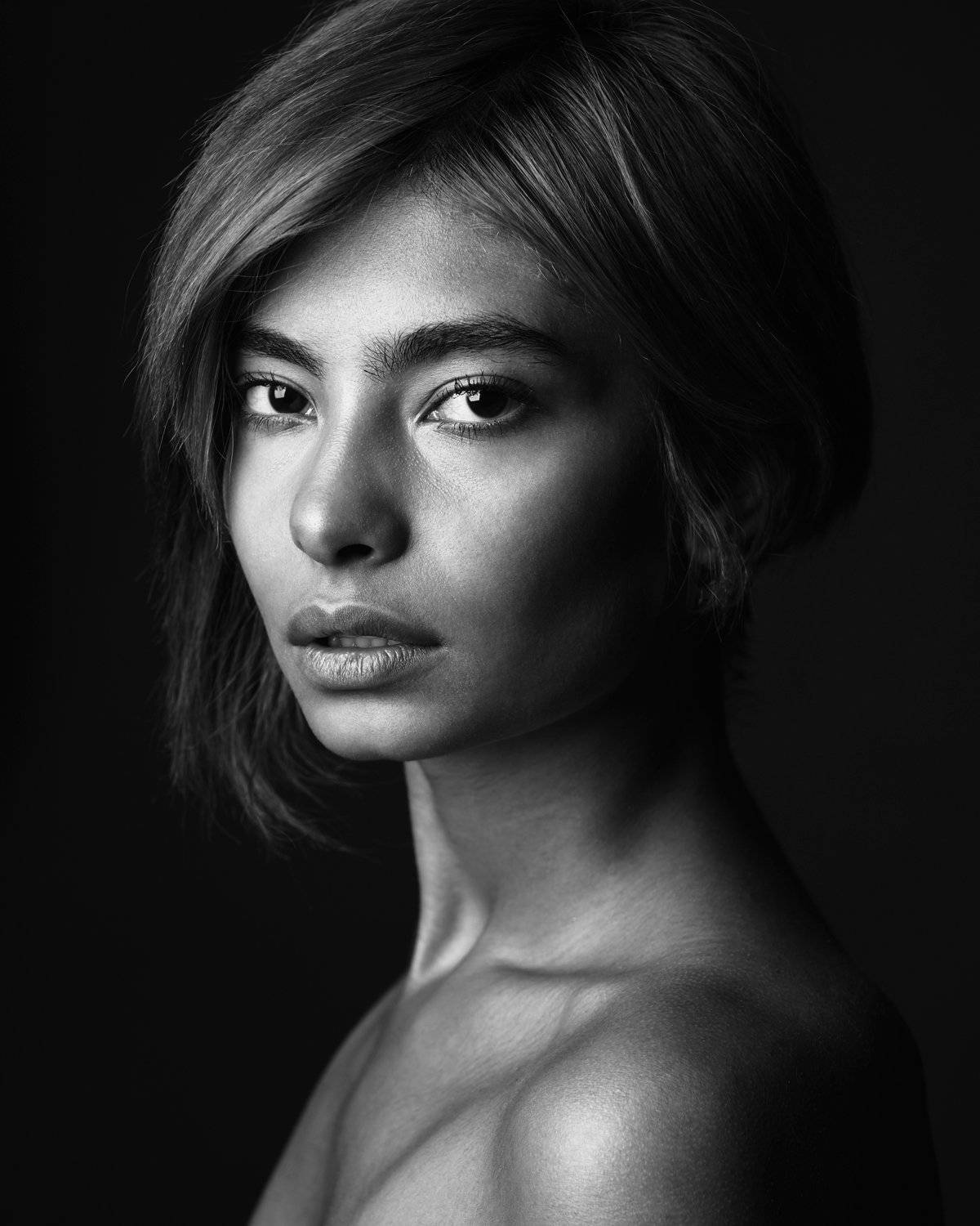 , Hamidreza Sheikhmorteza