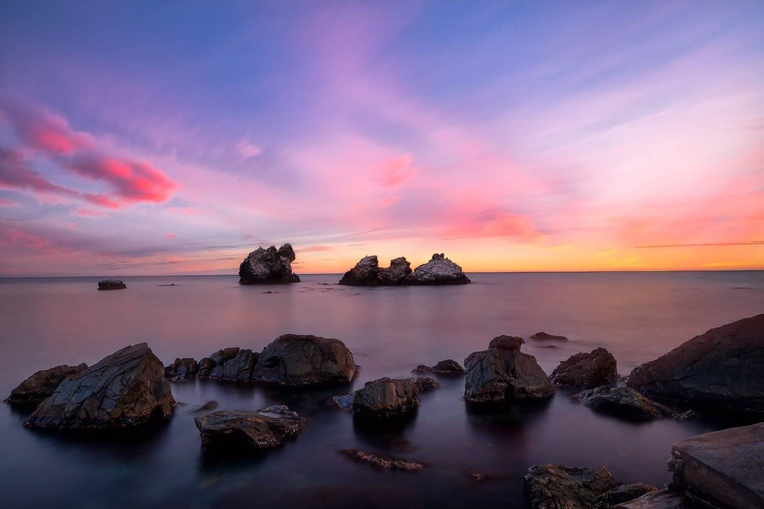 , Ольга Максимова