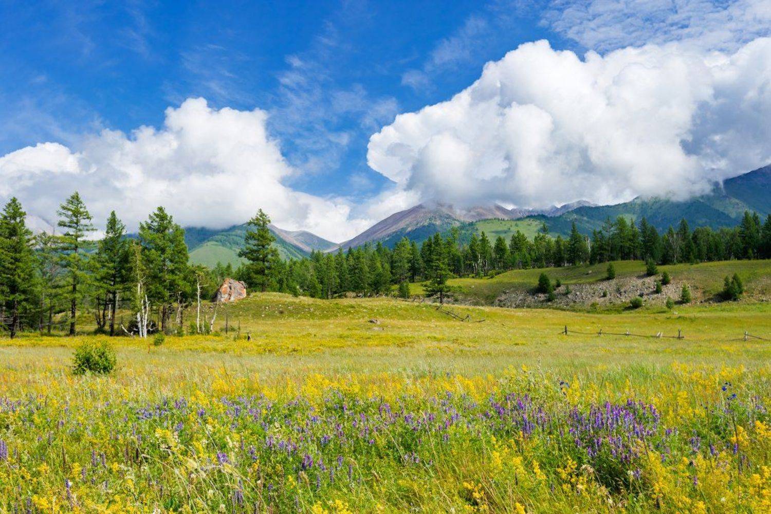 , Илья Буянов