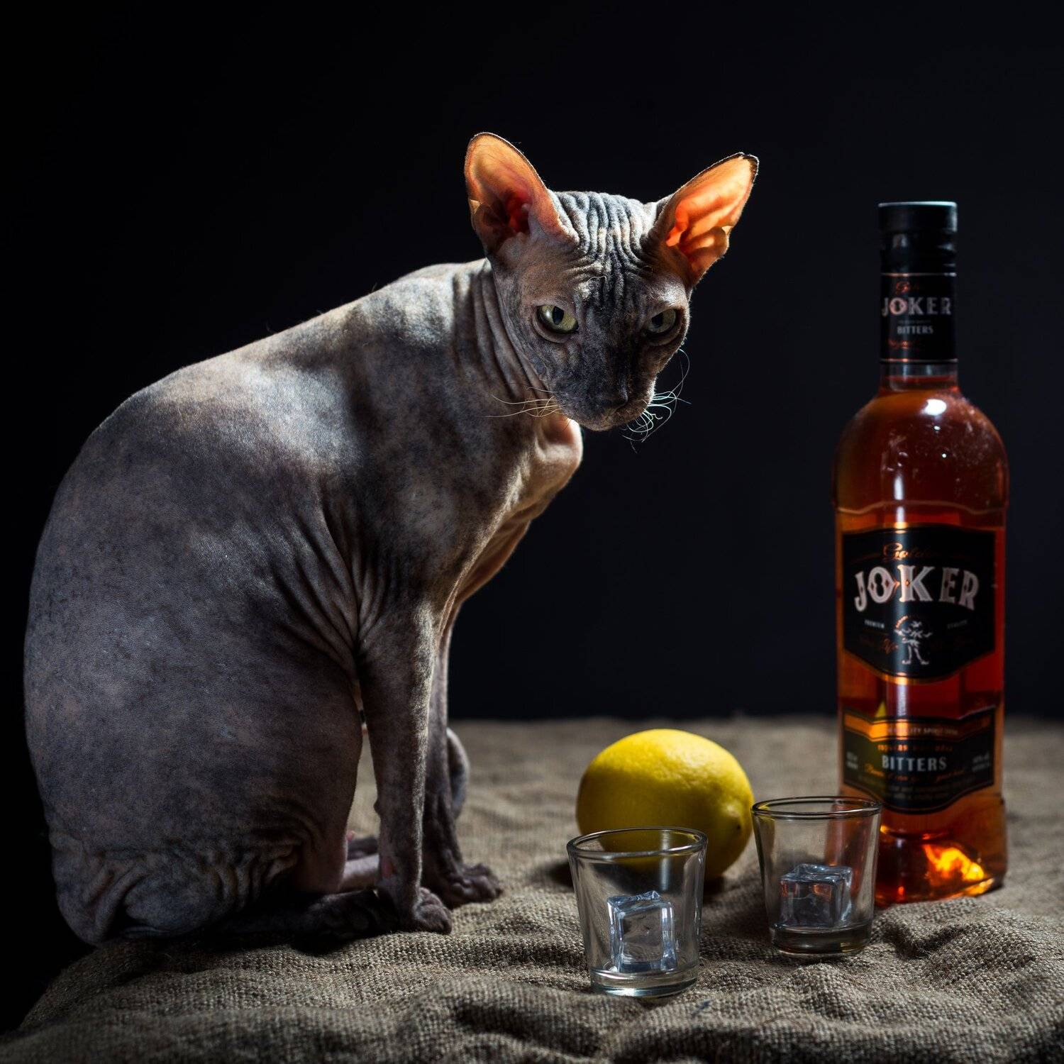 , Вячеслав Владимирович