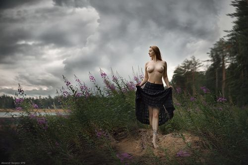 Перед грозой