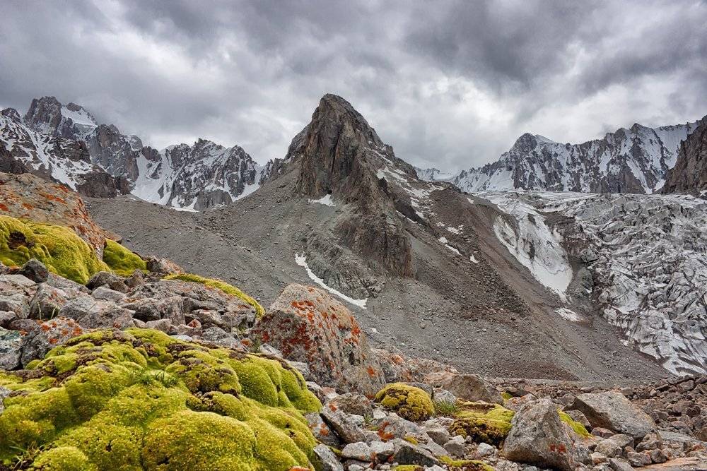 кыргызстан, горы, Элина Магалимова