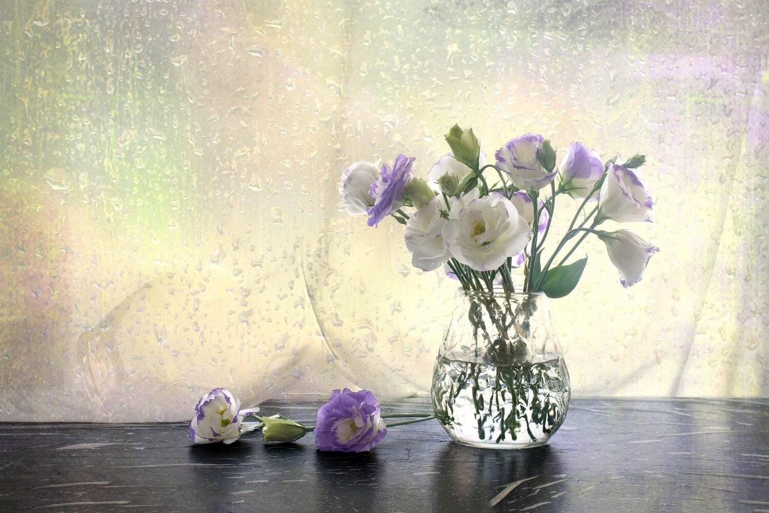 эустома, натюрморт, Людмила Бекман