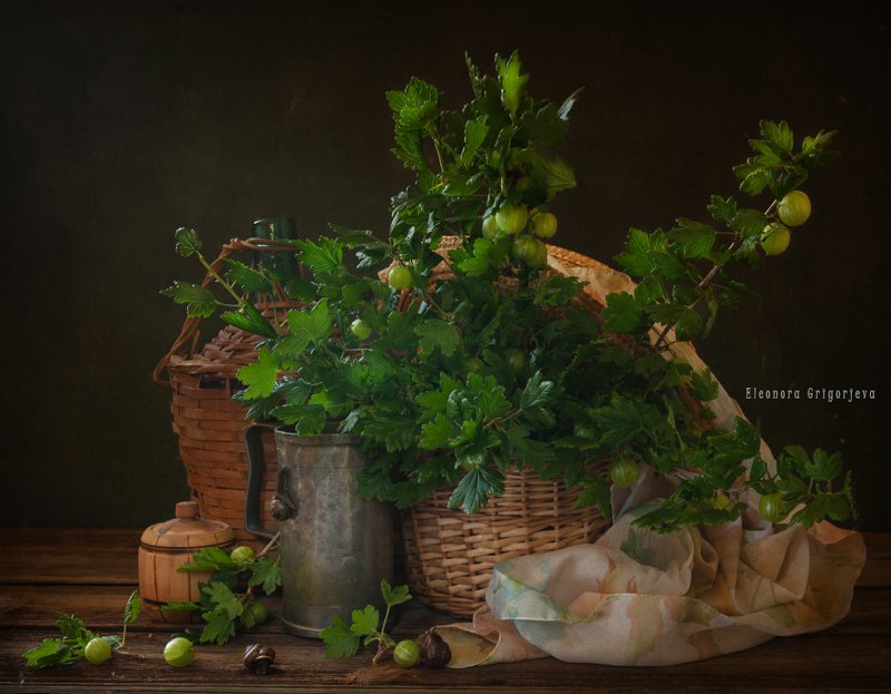 Натюрморт с зелёным крыжовником фото превью