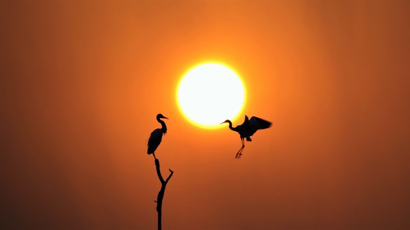 VIVEK JOSHI PHOTOGRAPHY фото превью