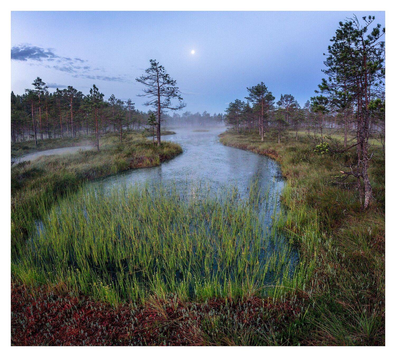, Евгеньевич Андрей