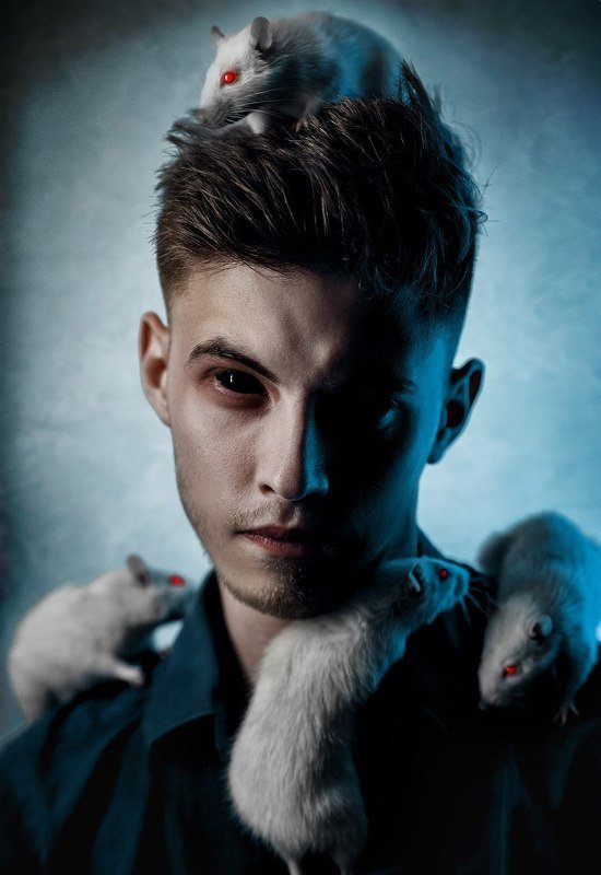 фото превью