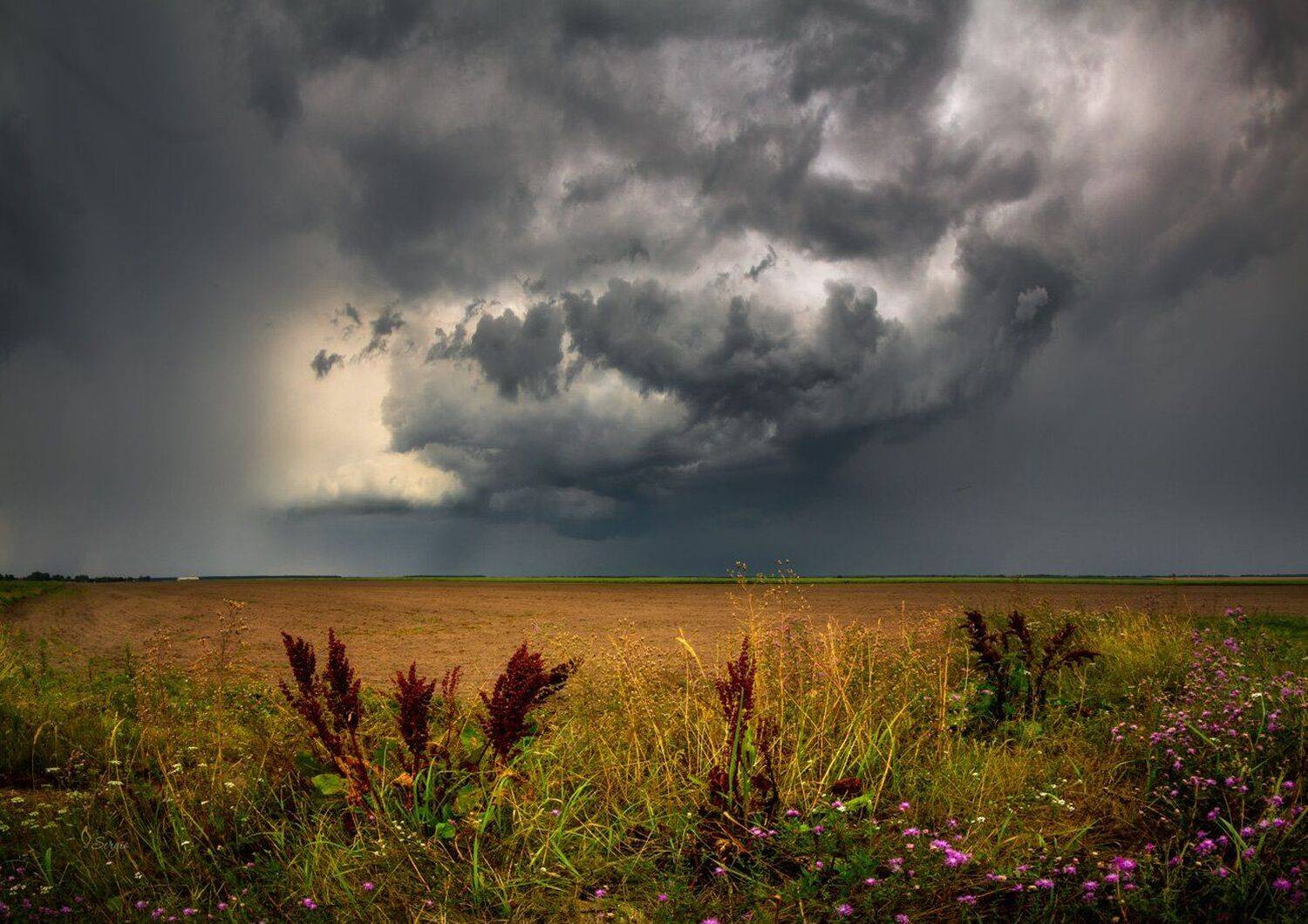 Беларусь, Серж Домбровский