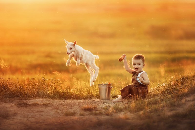 Трюк за морковку) фото превью