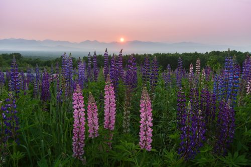 Лето на Камчатке 