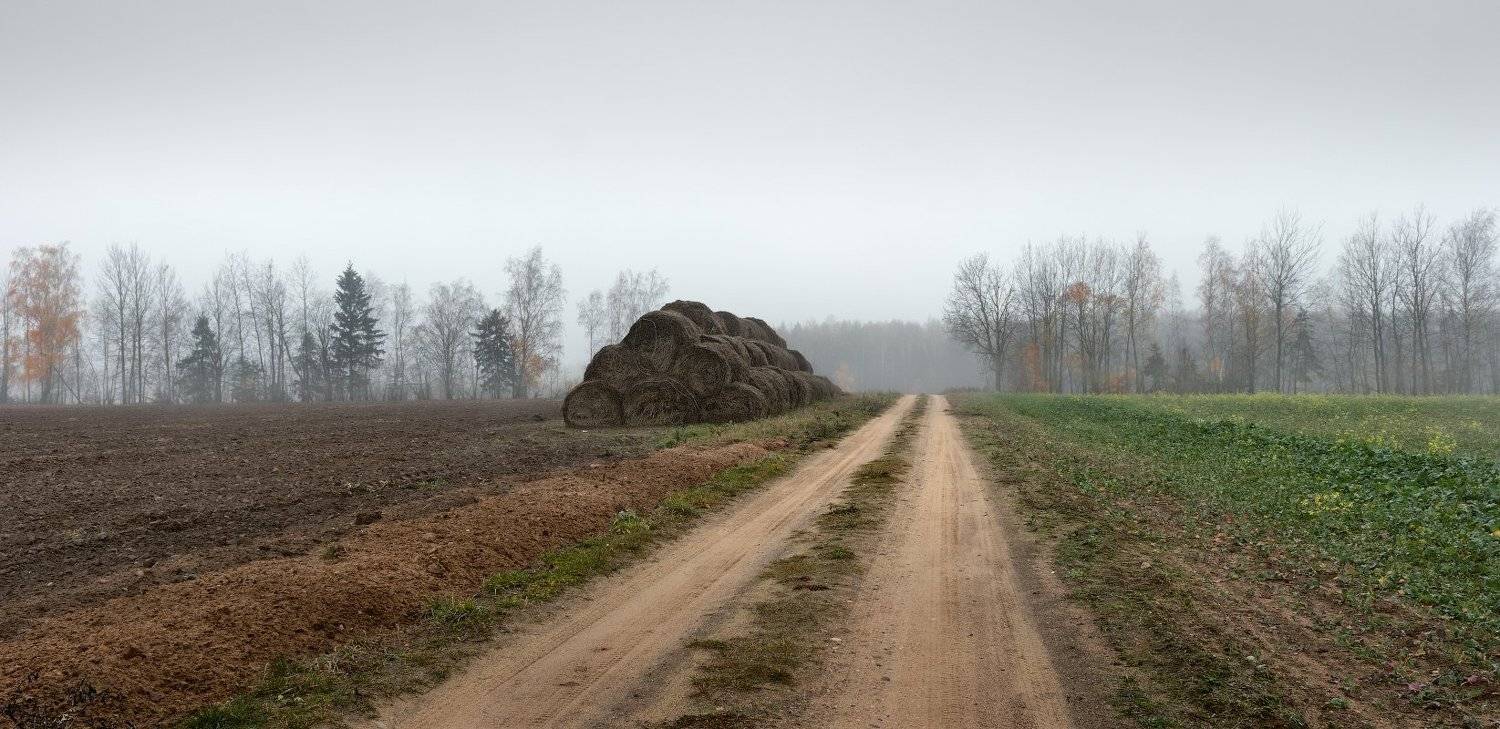 осень,дорога, поле, ненастно,, Сергей Шабуневич