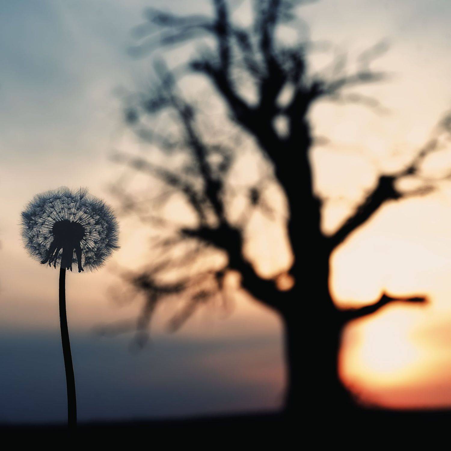 nature, Piotr Ryba Rybicki