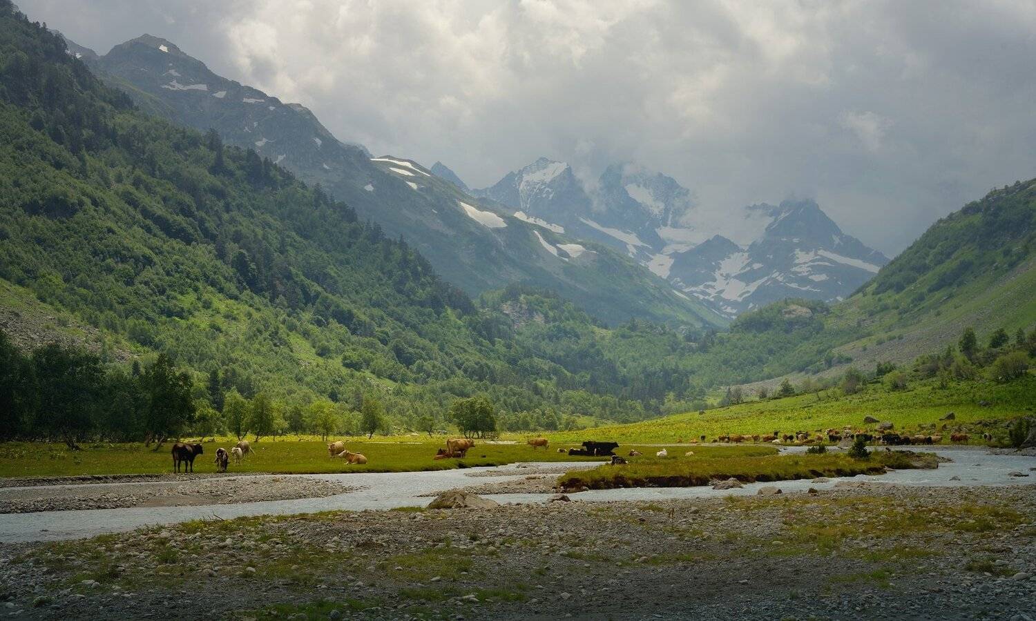 горы лето кавказ маруха, Александр Жарников